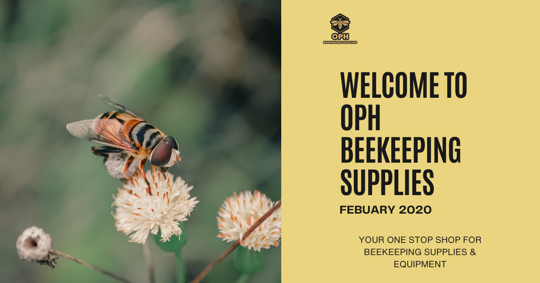 Welcome to OPH Beekeeping!