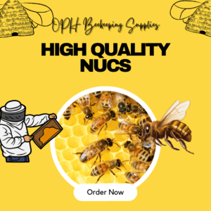 Bee Nucs for Sale in Ontario: A Beginner’s Guide to Starting Your Hive