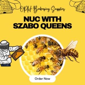 Beekeeping Nucs: A Beginner’s Guide to Nucleus Colonies