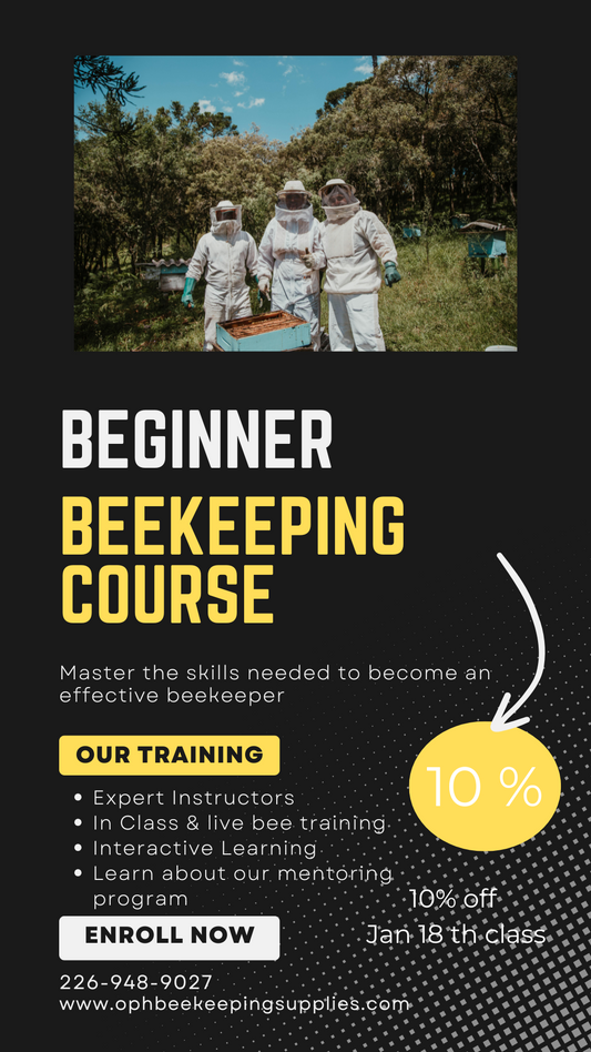 Beginner Beekeeping Course