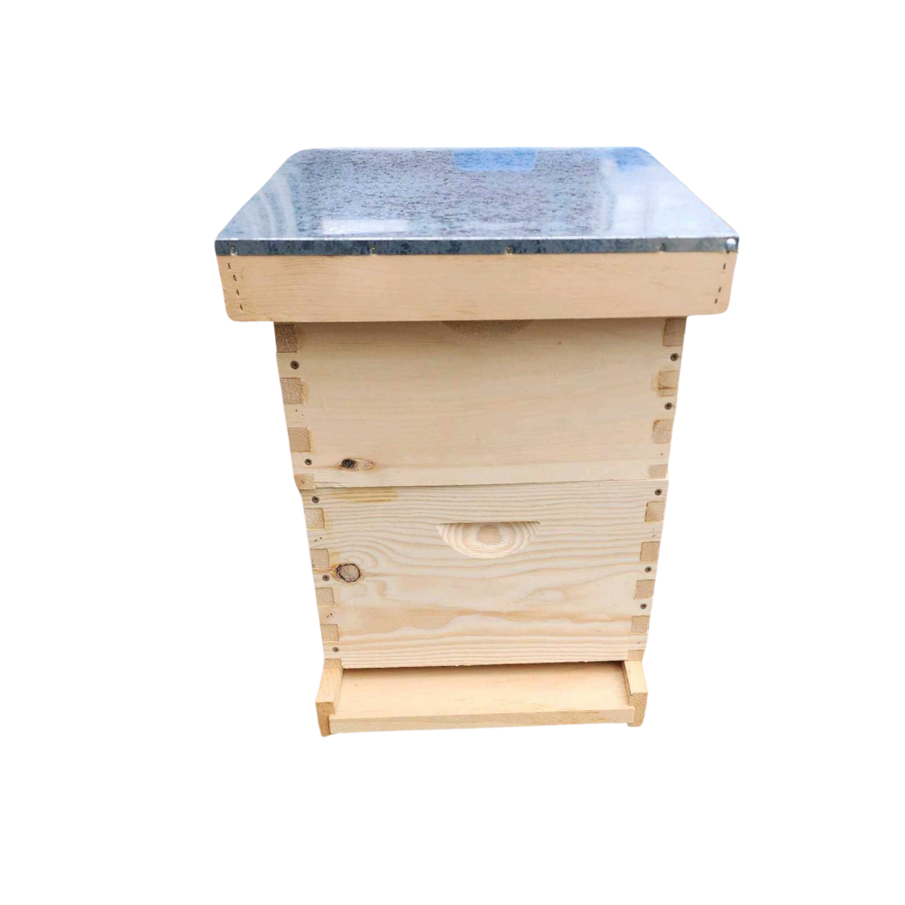 A Comprehensive Guide to Double Hive Kits for Beekeeping Enthusiasts