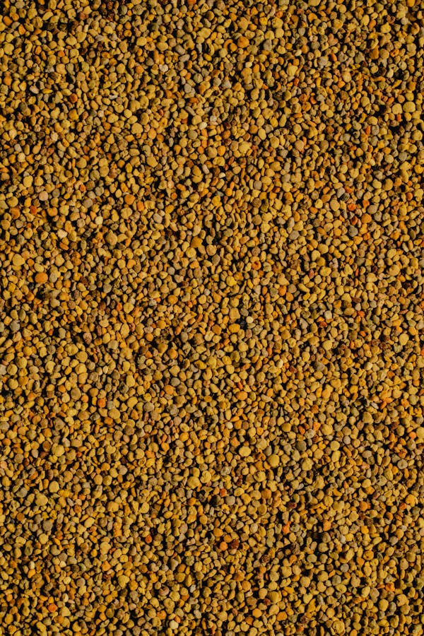 The Benefits of Raw Canadian Bee Pollen