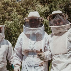 Beekeeping in Ontario: A Guide to Success with OPH Beekeeping Supplies