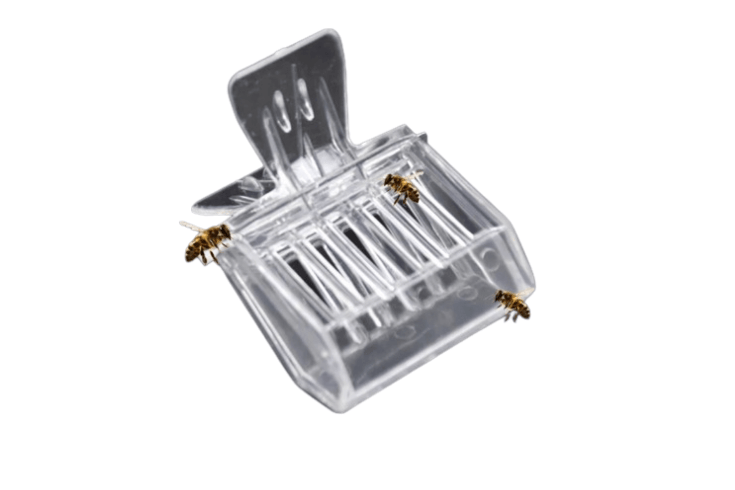 Plastic queen catcher for beekeeping, 6.5 x 5.1 x 4.8 cm