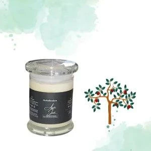 Apple Jack Soy Candle in stylish glass jar with apple tree illustration.