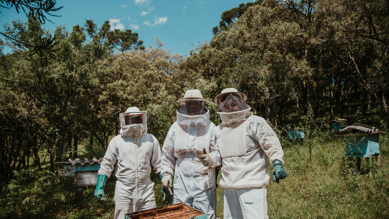 Beekeeper Protective Clothing