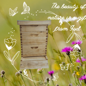 Bee Hive Starter Kit with floral background, ideal for beekeeping beginners and experts.