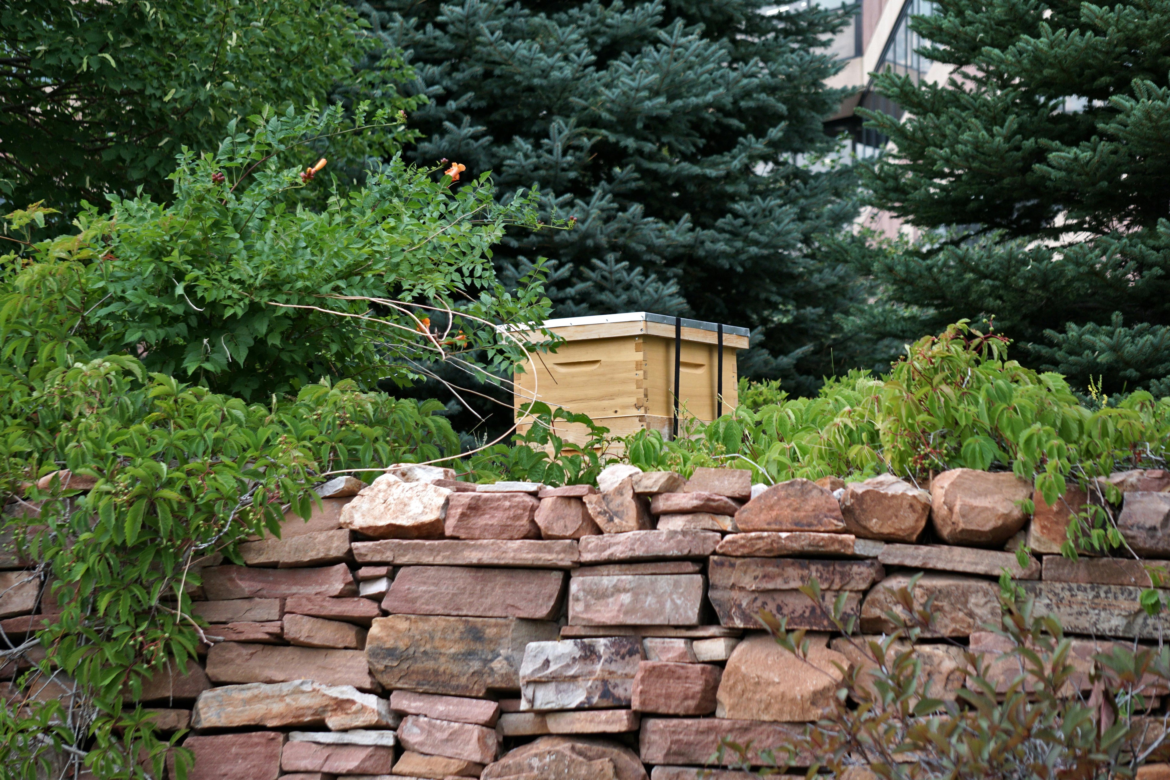 Hive Kits at OPH Beekeeping Supplies