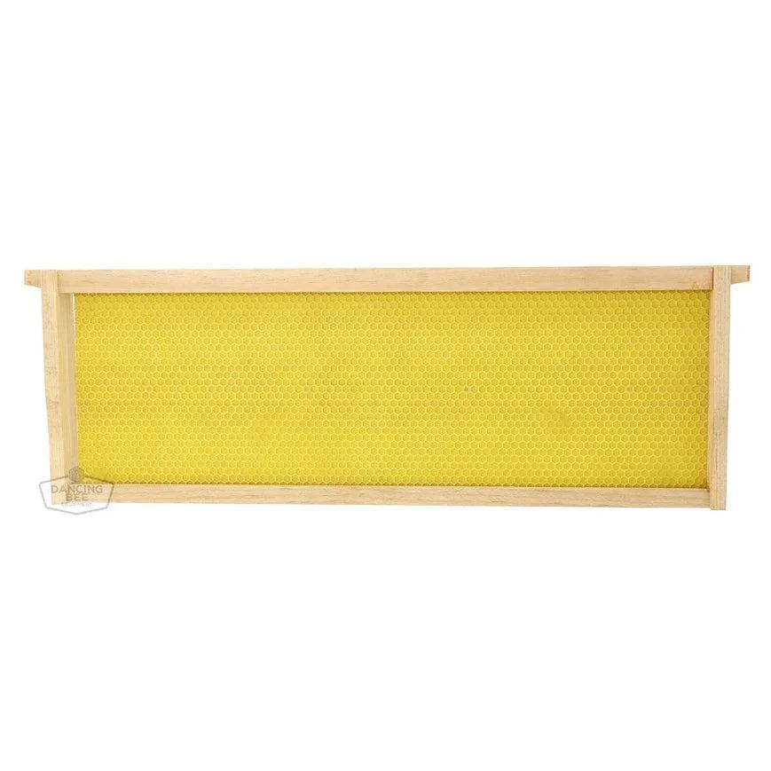 Bee Frames-Medium Frames with Rite Cell Foundation