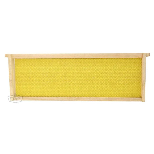 Bee Frames-Medium Frames with Rite Cell Foundation