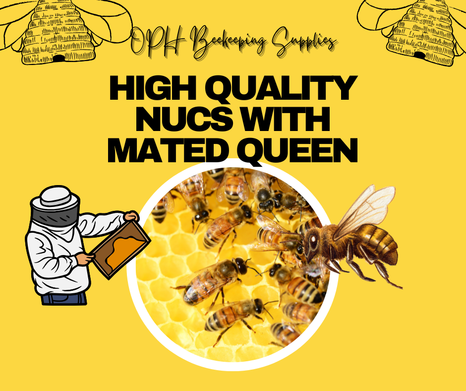 High Quality Nucs with Mated Queen