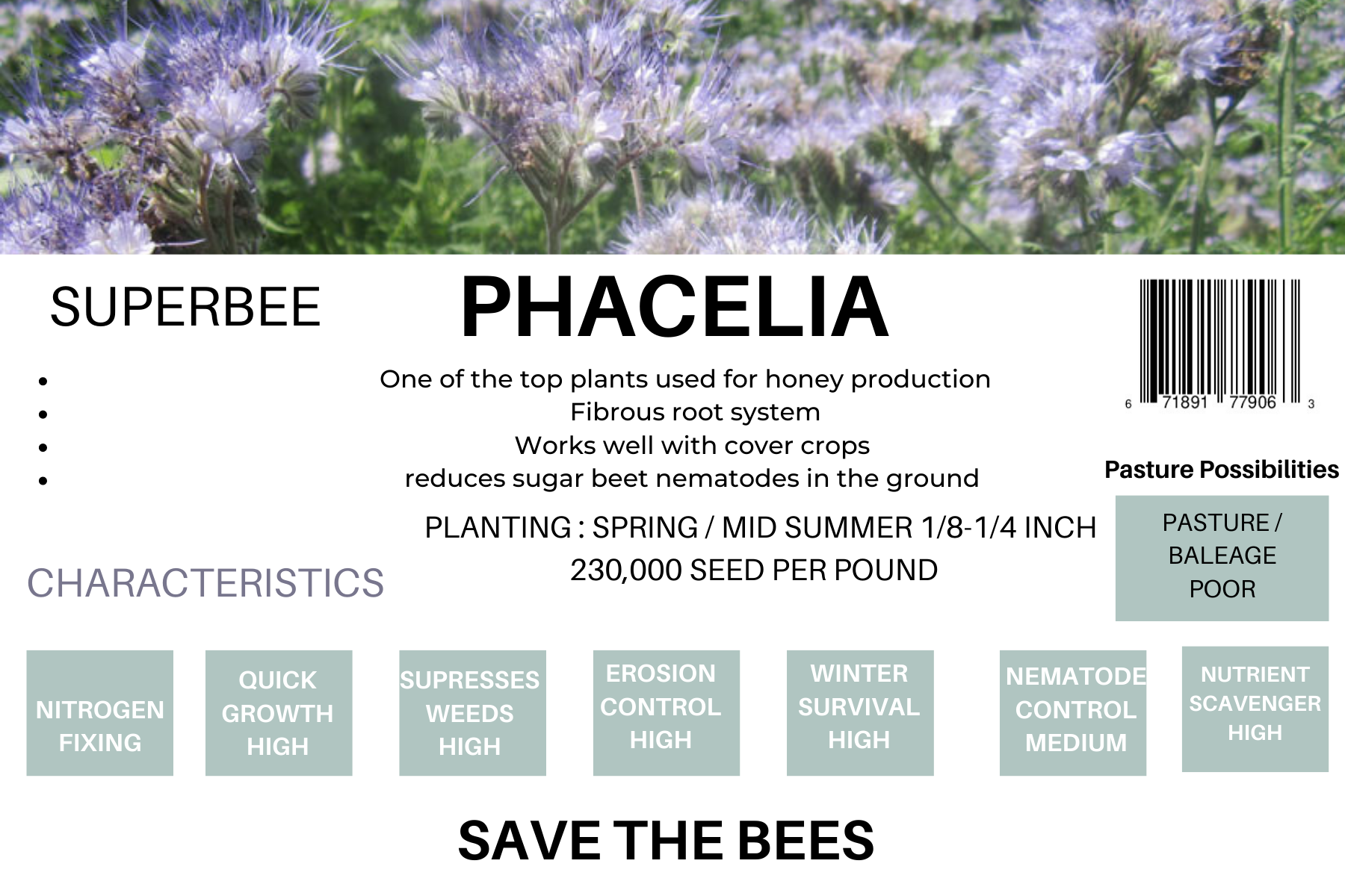 Phacelia Seeds package with benefits for honey production and pollinator attraction, featuring instructions and characteristics.