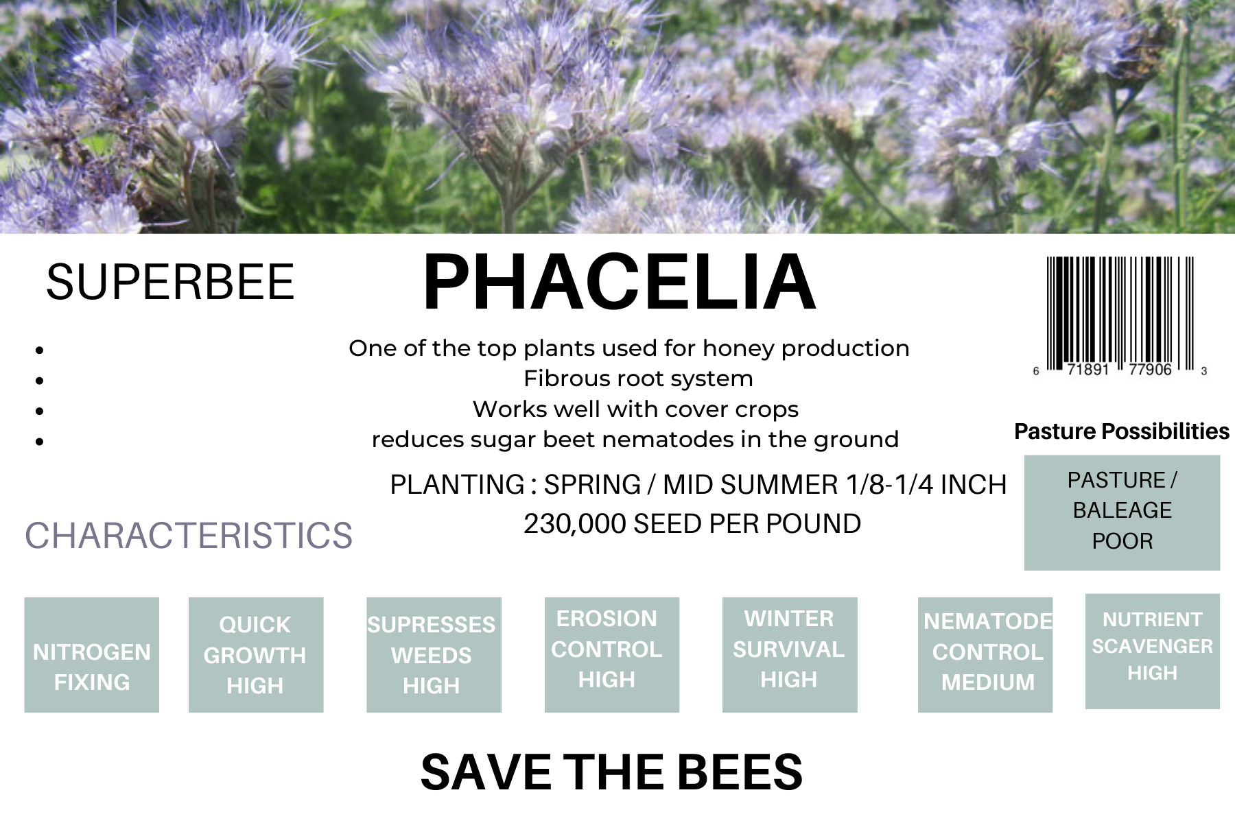 Phacelia seeds package with blooming blue flowers, ideal for honey production and attracting pollinators.