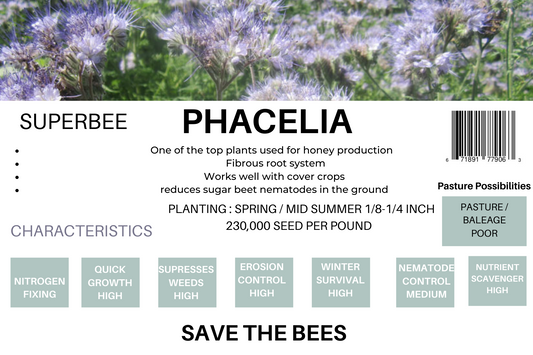 Phacelia seeds package with blooming blue flowers, ideal for honey production and attracting pollinators.