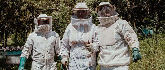 Pollination-Beekeepers in protective gear providing pollination services.