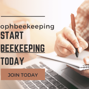 beekeeping course-Beginner beekeeping online course promotion, featuring a person writing in a notebook with a laptop nearby, encouraging to "Start Beekeeping Today."