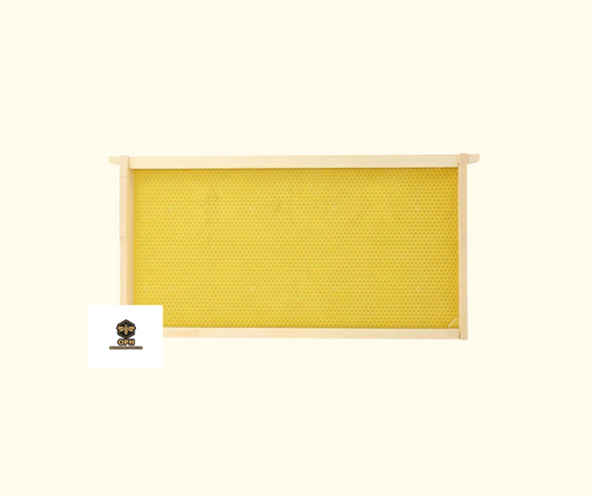 Bee Frames: Deep Frame with Puracell Foundation for Beekeepers