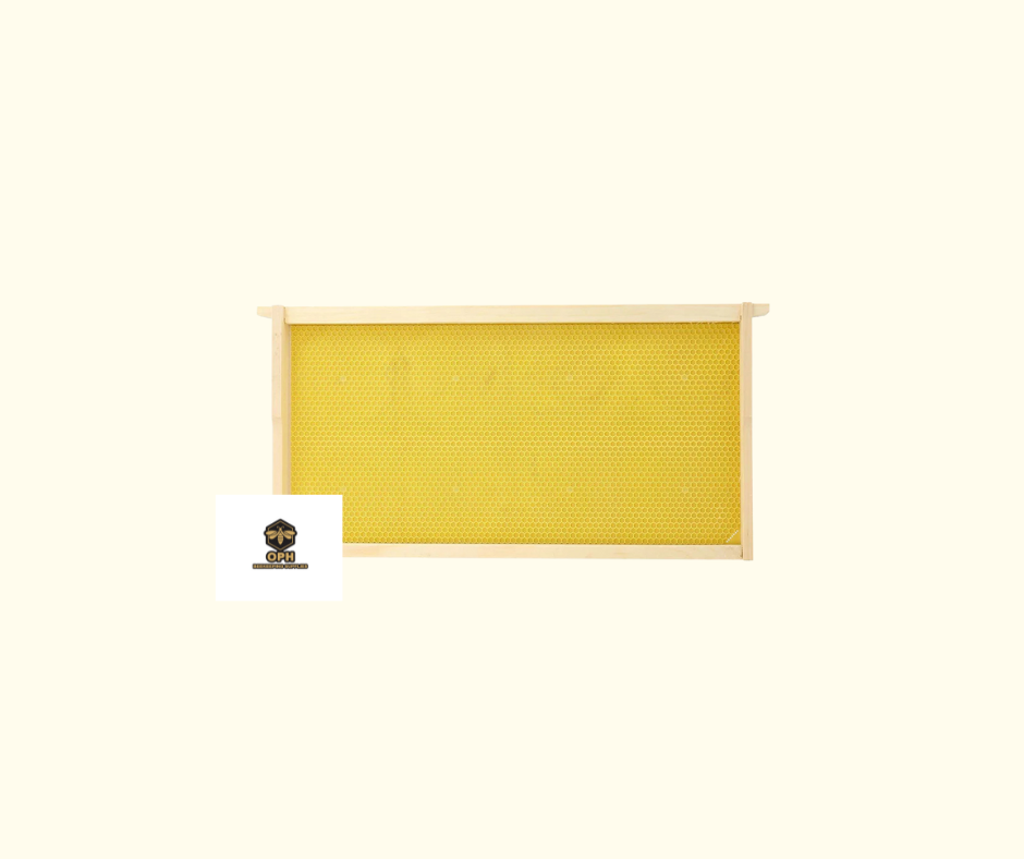 Bee Frames - Rite Cell Deep Frames for Brood Rearing-Yellow