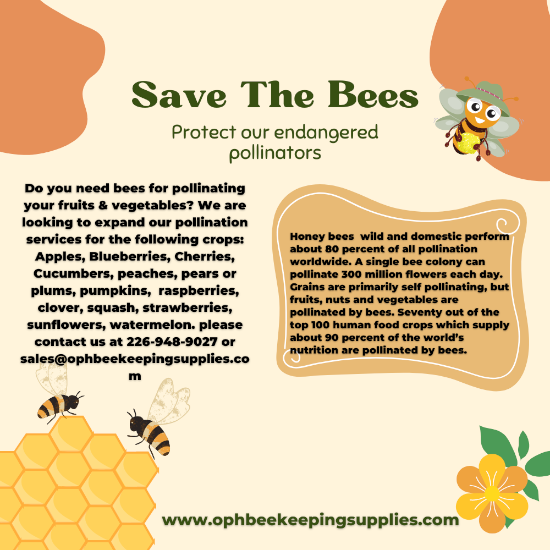 Save the bees-protect our endangered pollinators