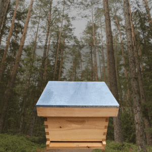 Bee Hive Starter Kit in forest setting with durable deep hive box and telescopic outer cover.