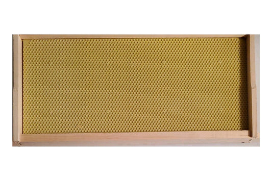 Deep frames with beeswax-coated foundation, made in Canada, durable and fits all standard beekeeping equipment.