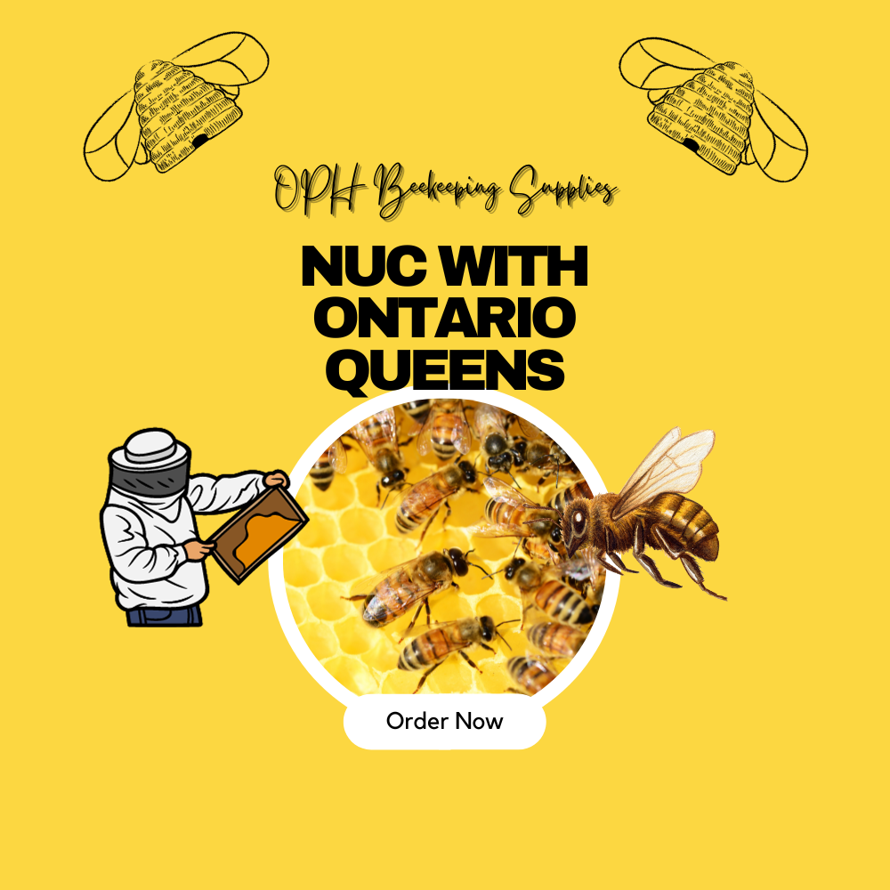 Queen Marking Pen - #Q100 – Miller Bee Supply