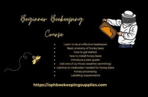 Beginner Beekeeping Training Course