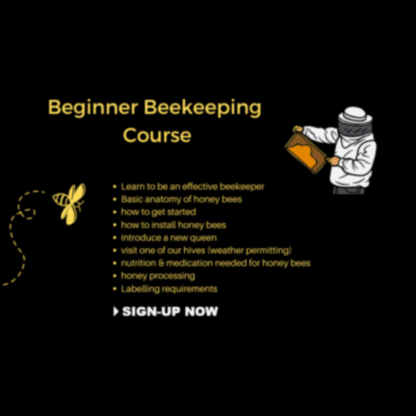 Beginner Beekeeper Training