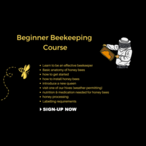 Beginner Beekeeping Training