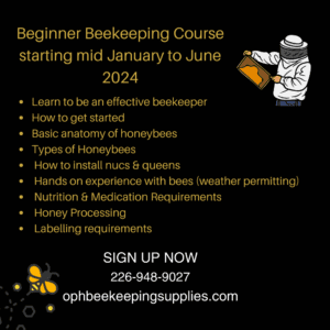 Beginner Beekeeping Course 2024