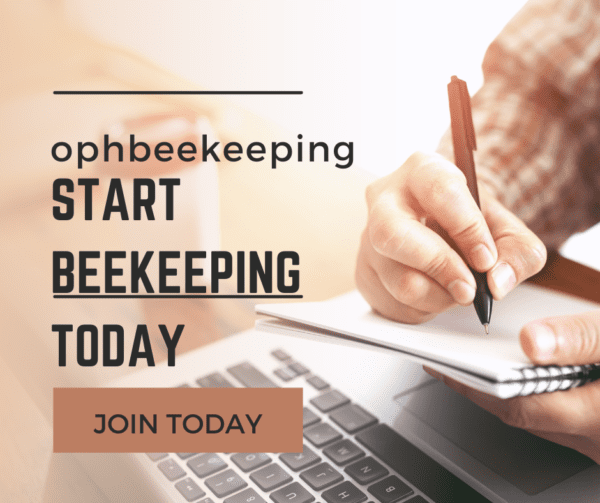 Online Beginner Beekeeping Course