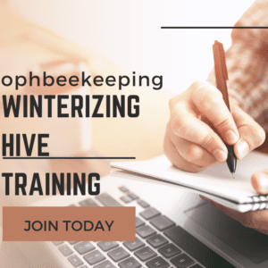 Winterizing Hives training