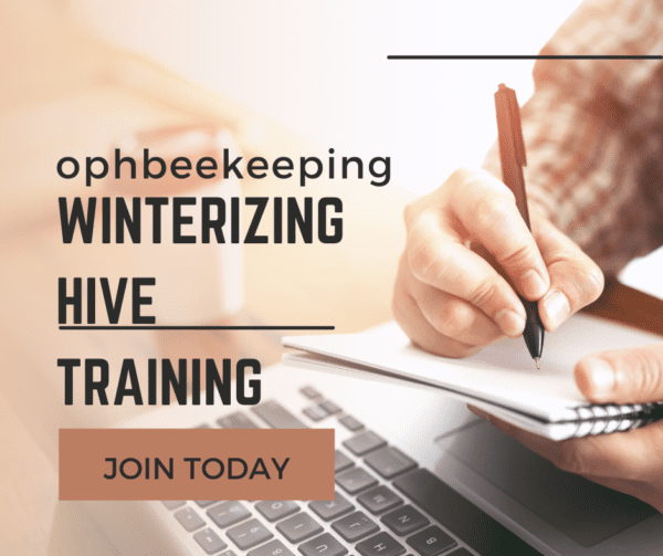 Winterizing Hives training