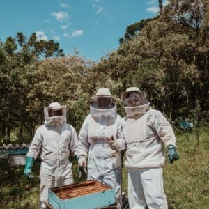 Backyard Beekeeping in Ontario