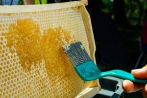 Extracting honey from frame