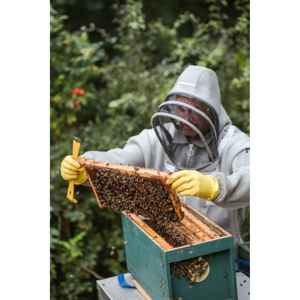 What is a beekeeper?