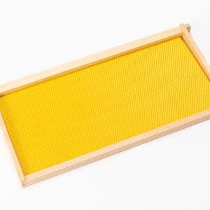 canacell frame & foundation yellow