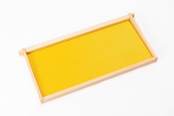 canacell frame & foundation yellow
