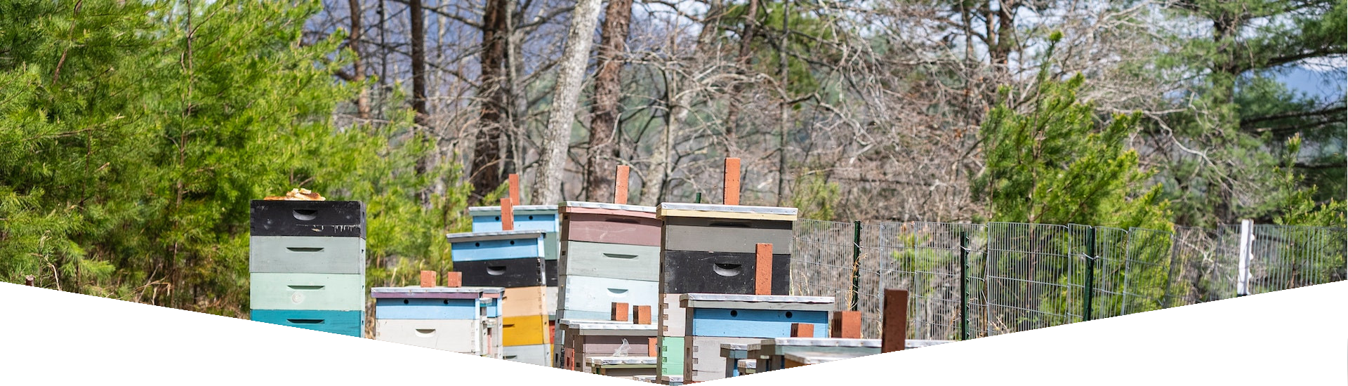Beekeeping Frames & Foundations