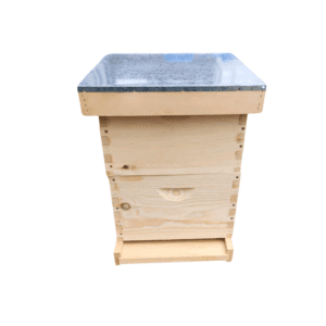 Beekeeping Supplies & Equipment You Can Count On